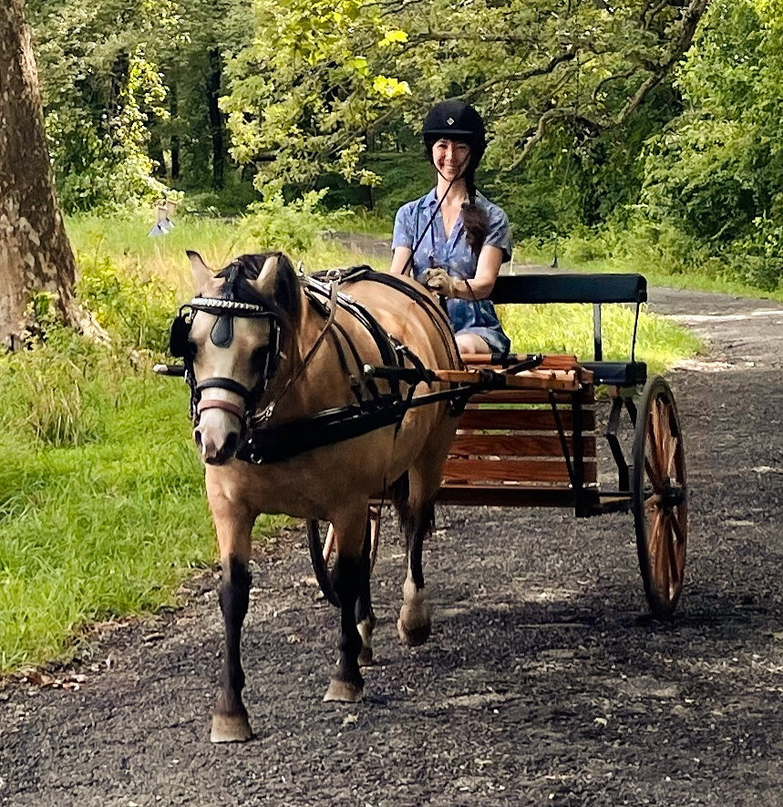 Carriage Driving