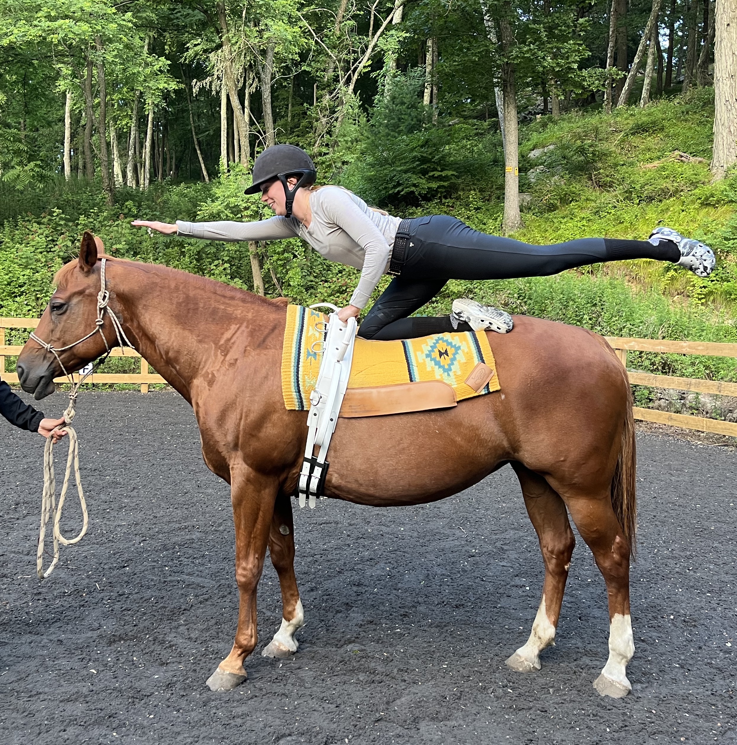 Equestrian vaulting