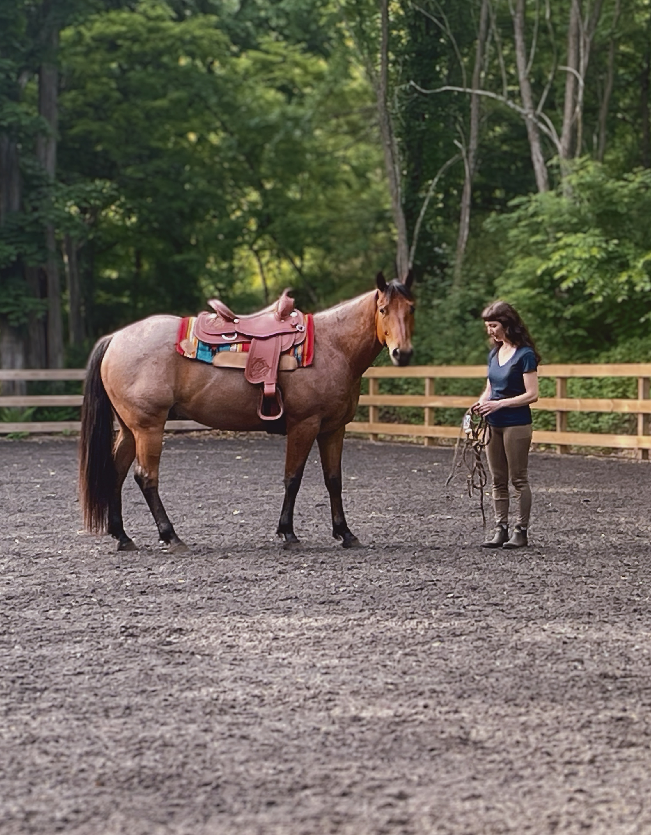 Natural horsemanship